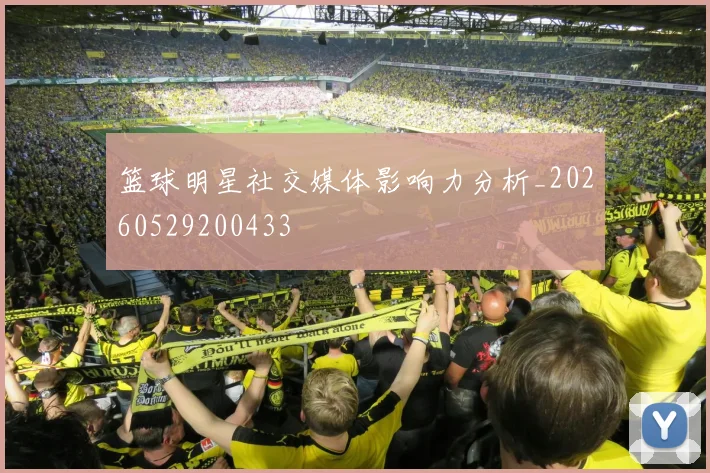 篮球明星社交媒体影响力分析_20260529200433