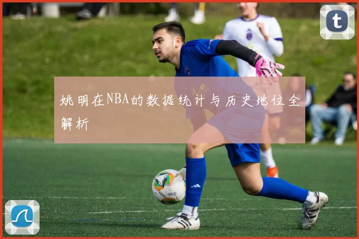 姚明在NBA的数据统计与历史地位全解析